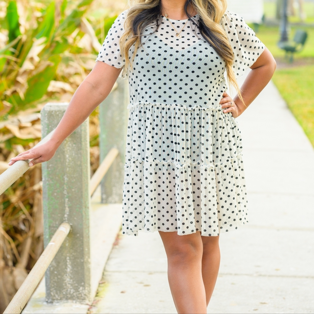 Altar's State Polka Dot Sheer Dress